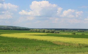 Ландшафтное земледелие как основа эффективного производства